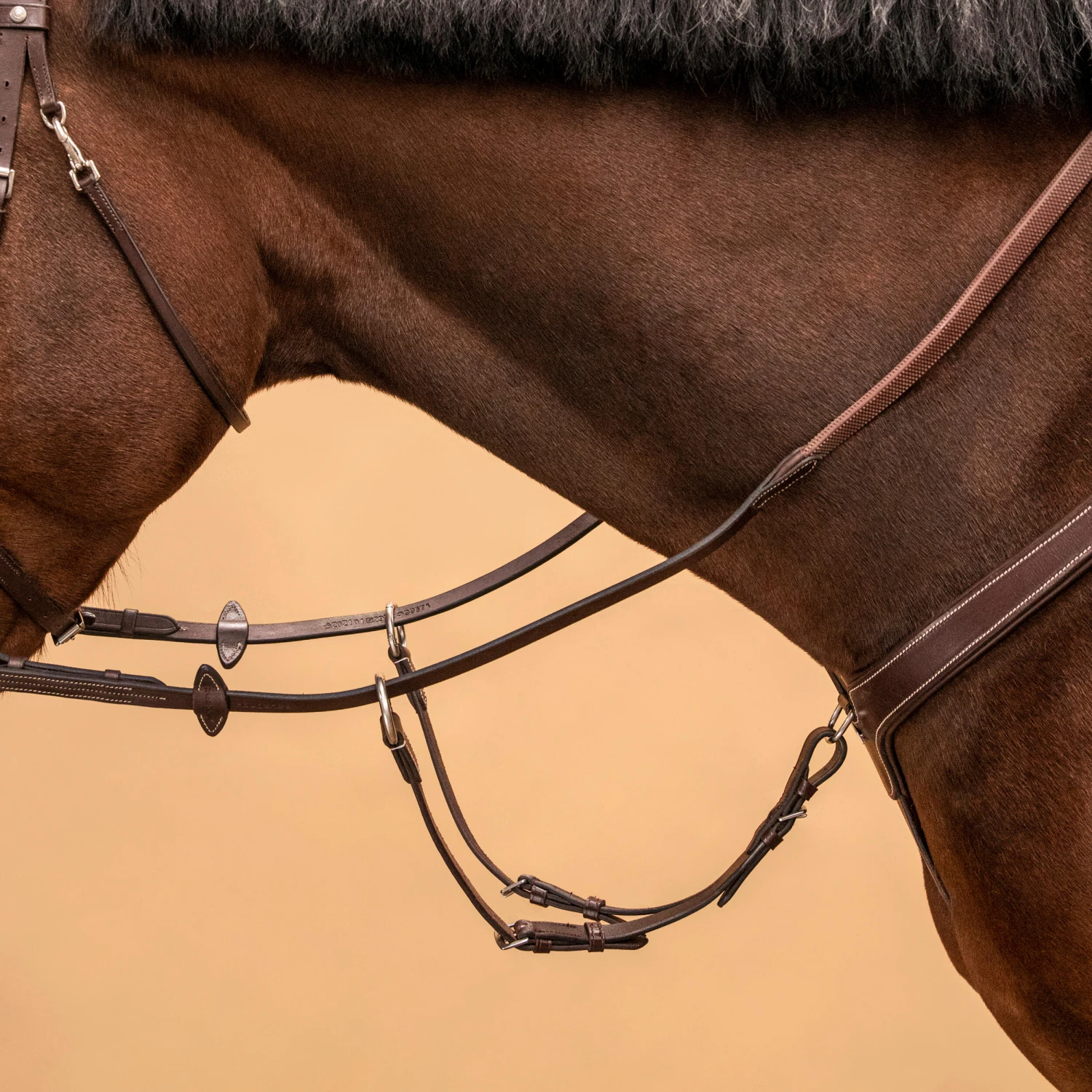 5-Point Hunting Martingale For Horse & Pony - Image 8