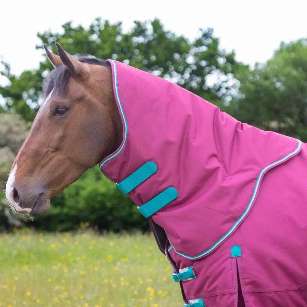Highlander Original StandardNeck 300g Horse Turnout Rug & Neck Cover (Raspberry) - Image 2