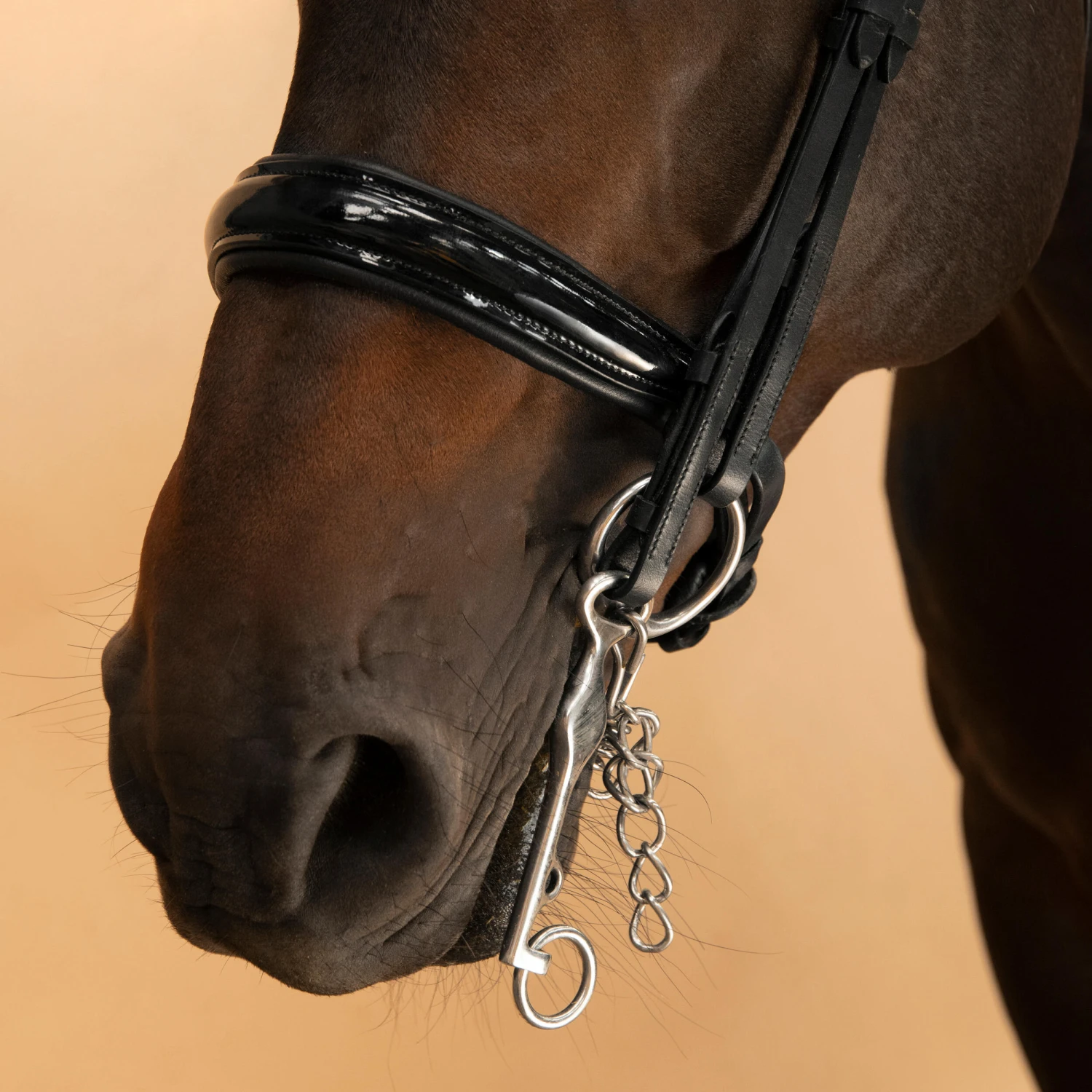 Horse & Pony Dressage Double Bridle 900 - Image 8