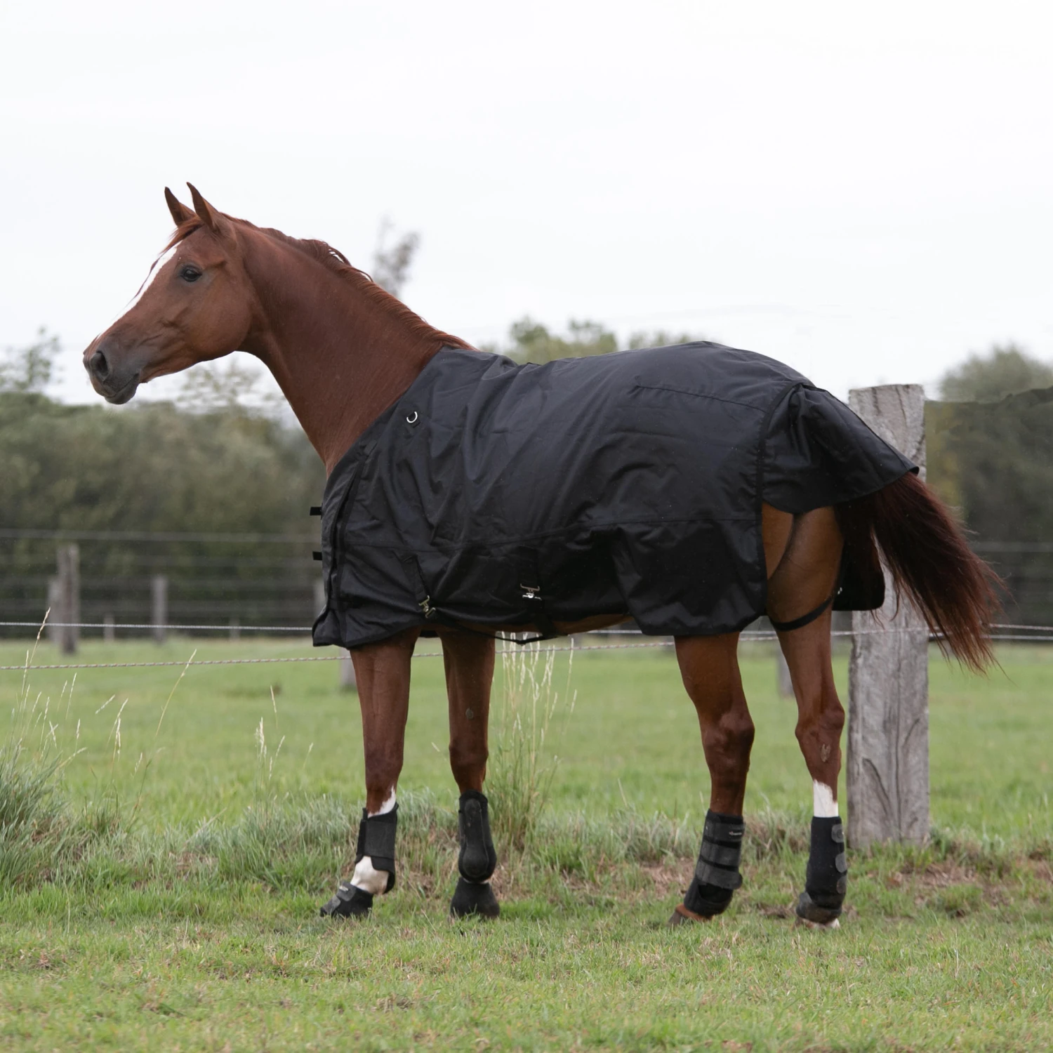 Waterproof Horse Rug 1000D Allweather 50 - Image 9