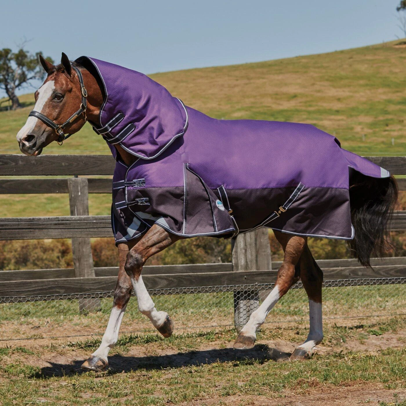 Weatherbeeta Comfitec Lite Plus Dynamic DetachANeck Turnout Rug (Purple/Black) - Image 4