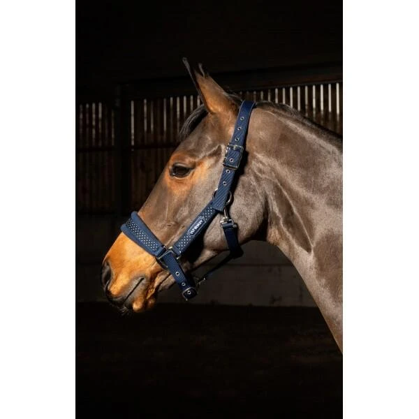 SAN FRANCISCO HEADCOLLAR