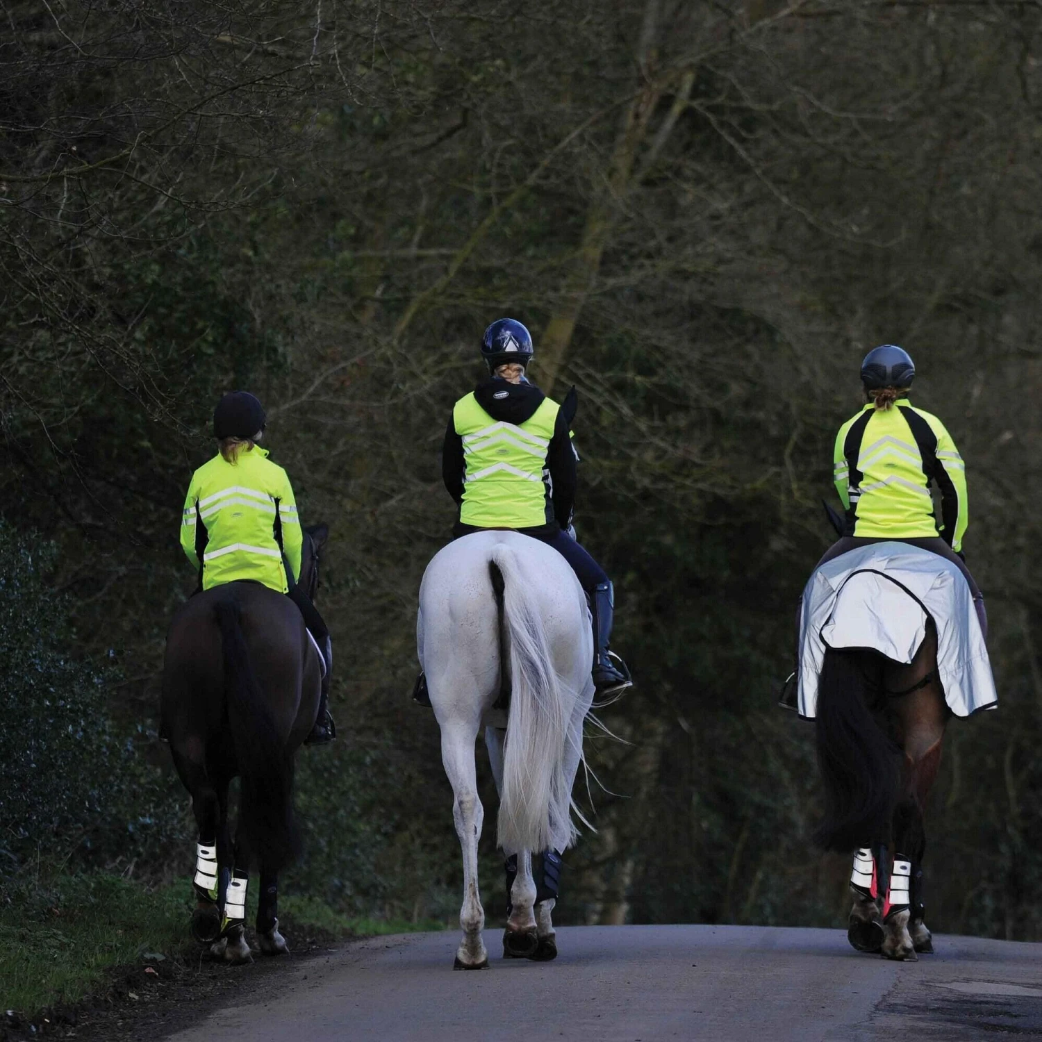 Weatherbeeta Reflective Wrap Around Horse Exercise Sheet (Silver/Black) - Image 2