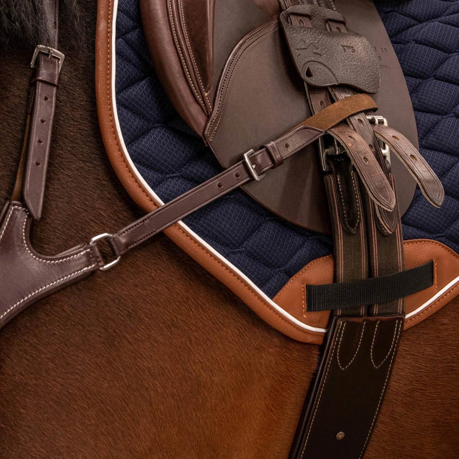 5-Point Hunting Martingale For Horse & Pony - Image 7