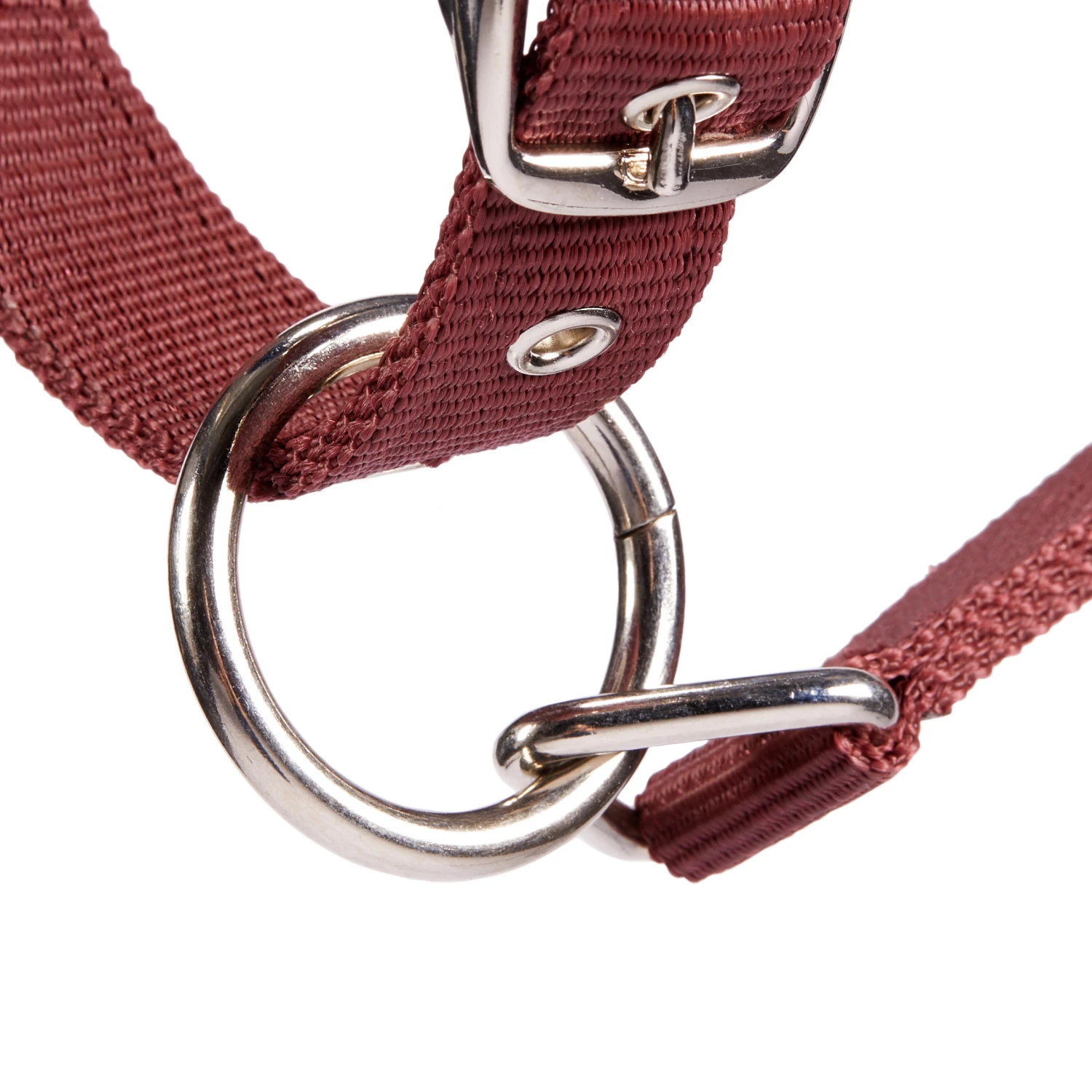 Winner Horse Riding Halter For Horse And Pony - Image 5