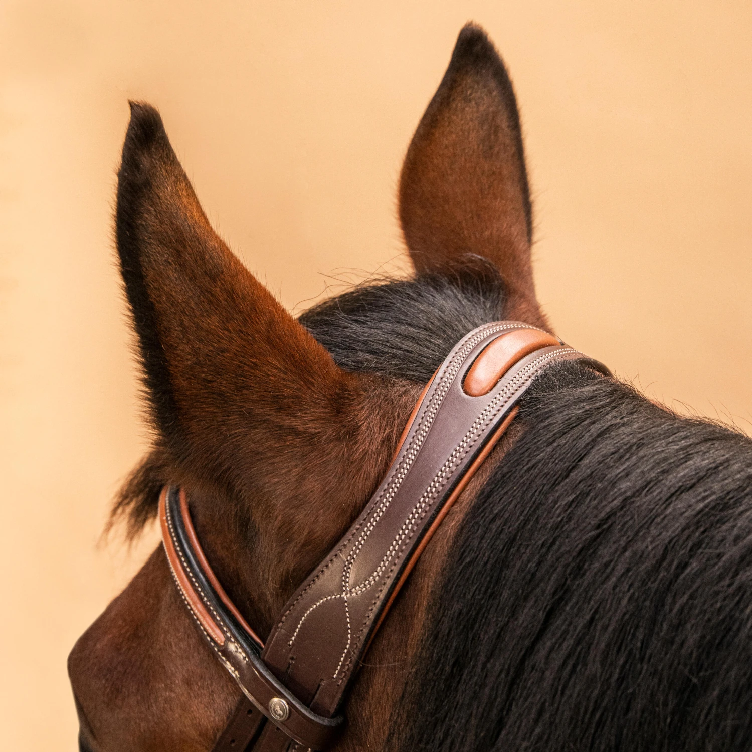 Horse Riding Crossed-Noseband Leather Bridle For Horse And Pony 580 - Image 14