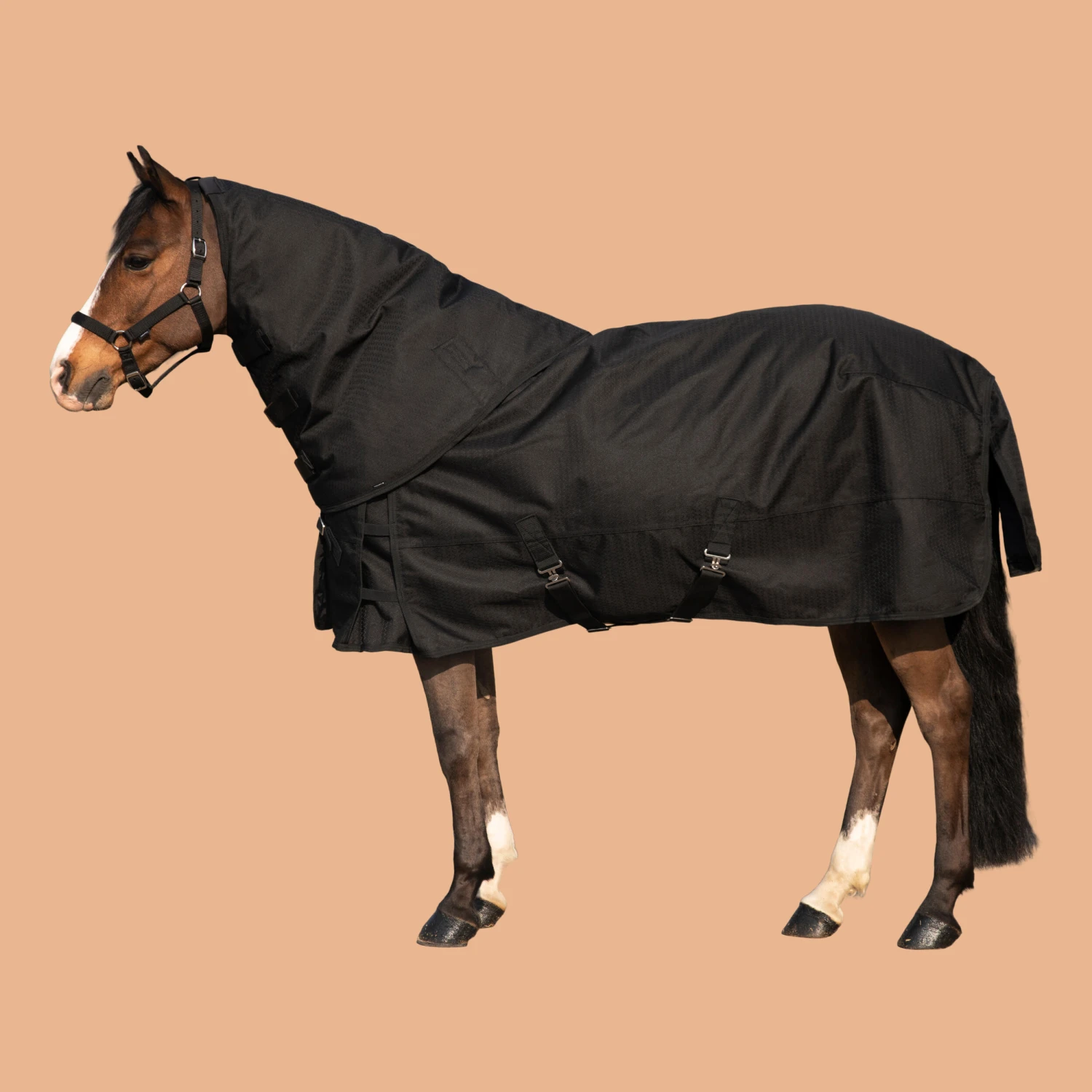 Horse Riding Waterproof Neck Cover For Horse Allweather 200 - Image 7