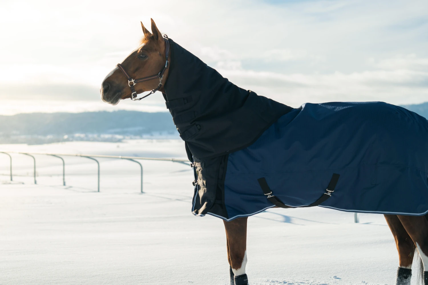 Allweather Light Horse Riding Waterproof Neck Cover - Image 2