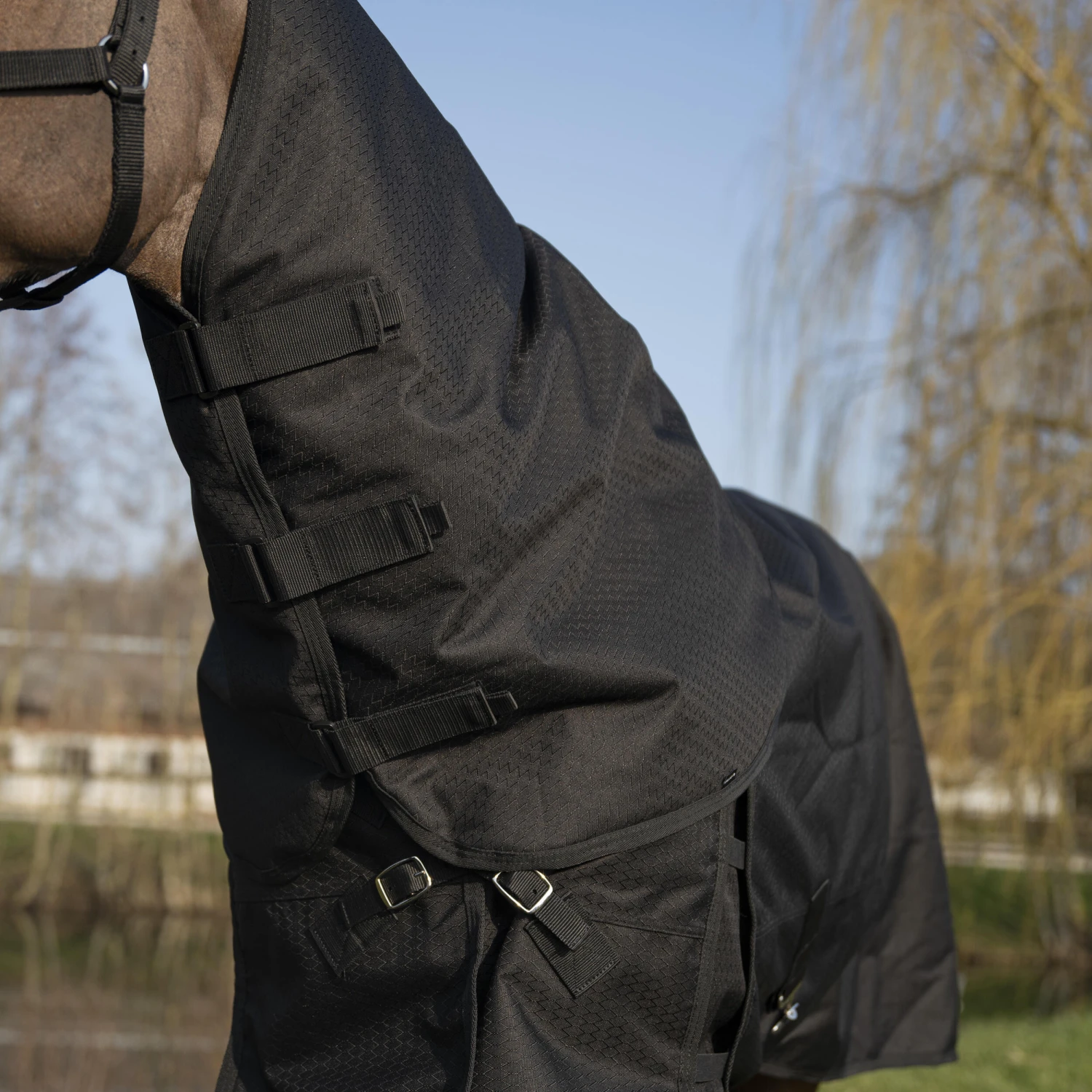 Horse Riding Waterproof Neck Cover For Horse Allweather 200 - Image 4