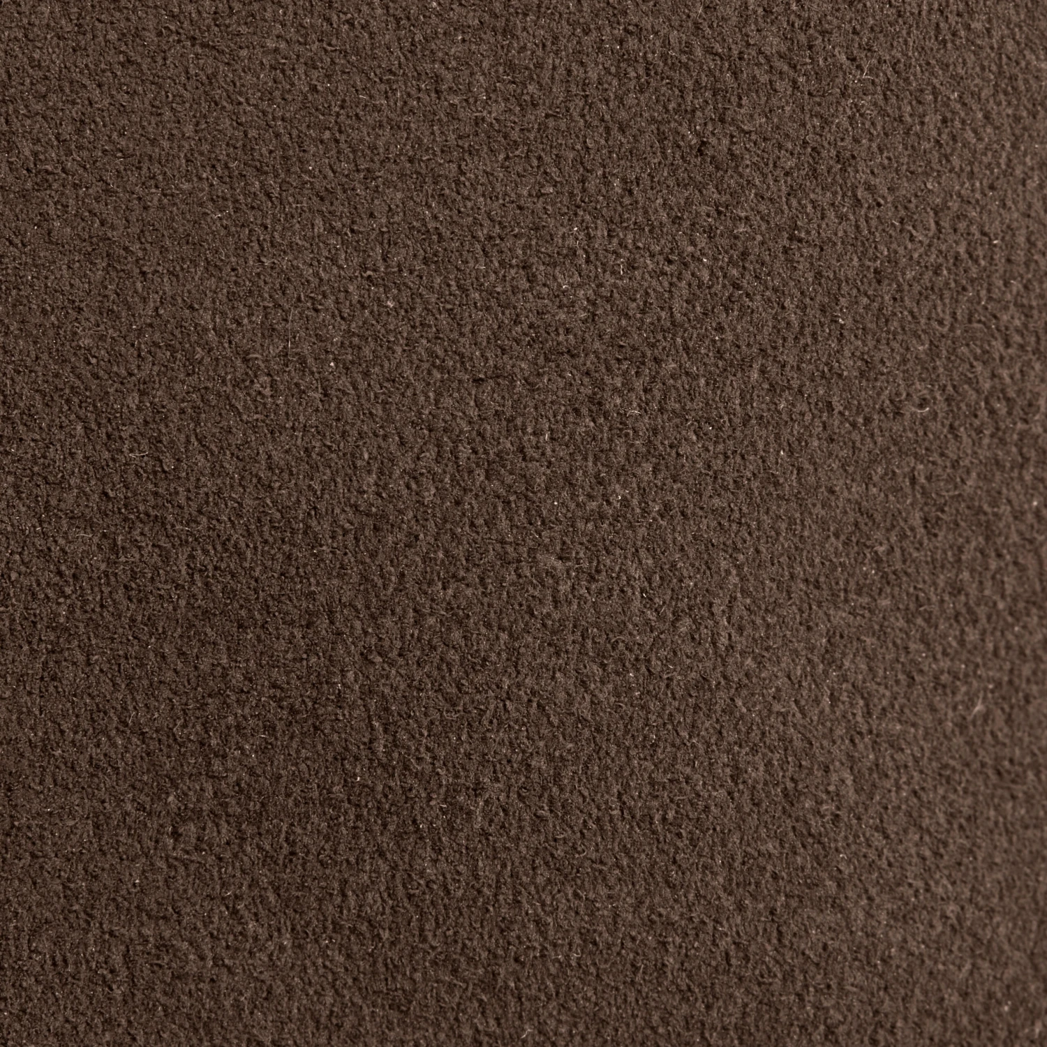 Sentier Adult Horse Riding Gusseted Half-Chaps - Image 12