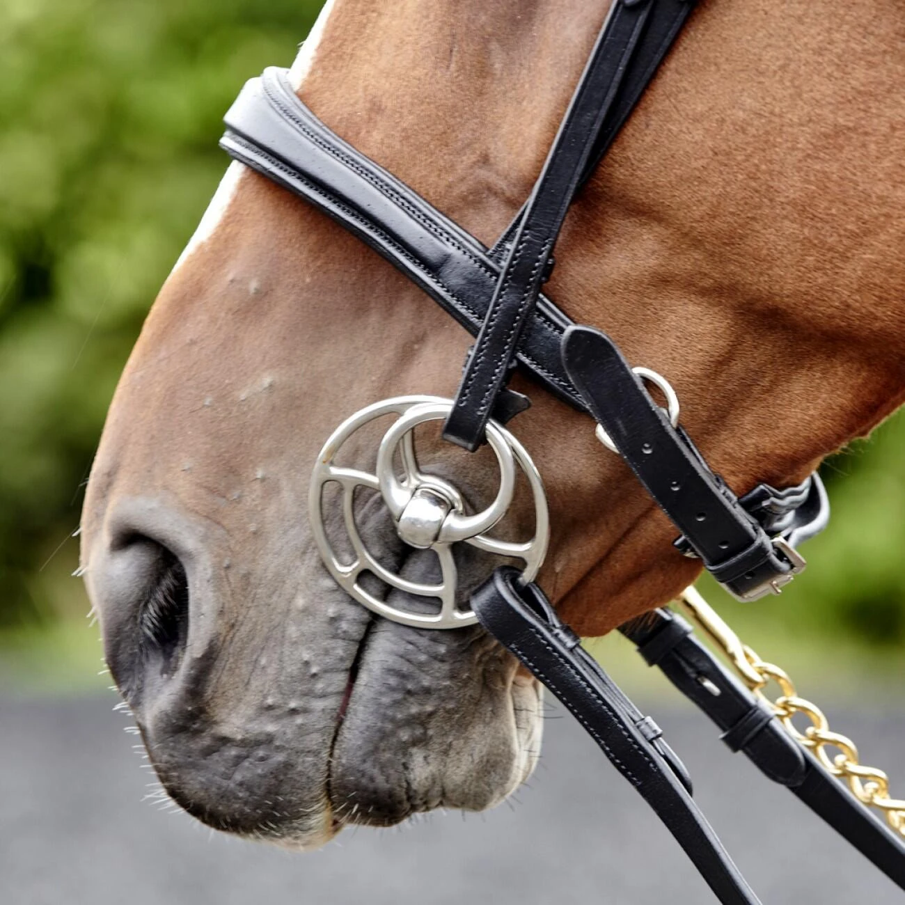 Lynton Snaffle Bridle With X2 Browbands - Image 8