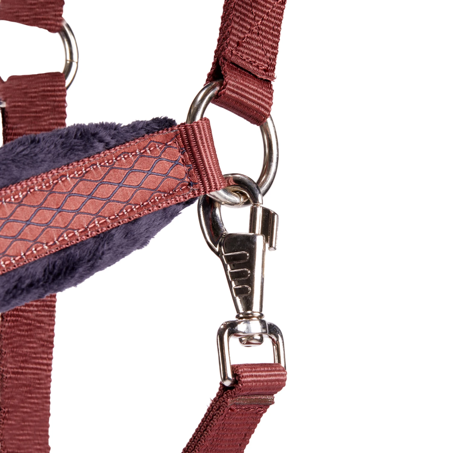 Winner Horse Riding Halter For Horse And Pony - Image 2