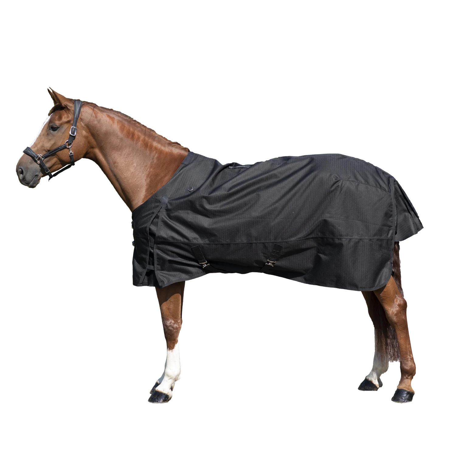 Waterproof Horse Rug 1000D Allweather 50