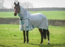 Weatherbeeta Comfitec Essential Mesh Combo Neck