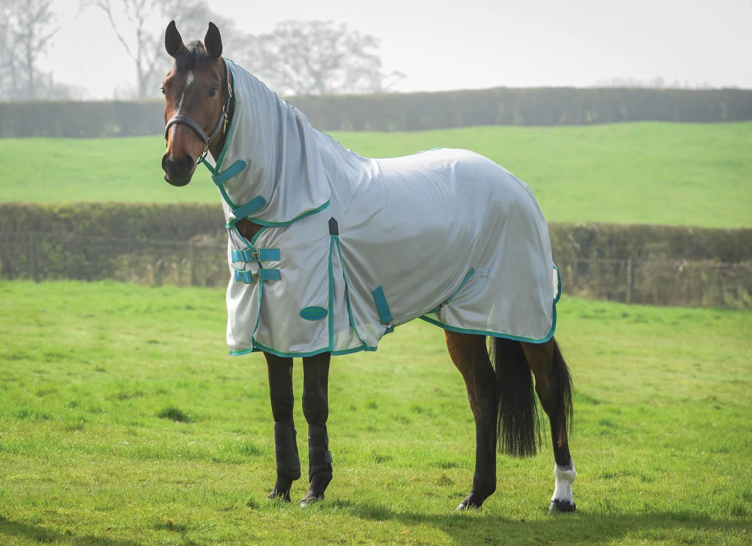 Weatherbeeta Comfitec Essential Mesh Combo Neck