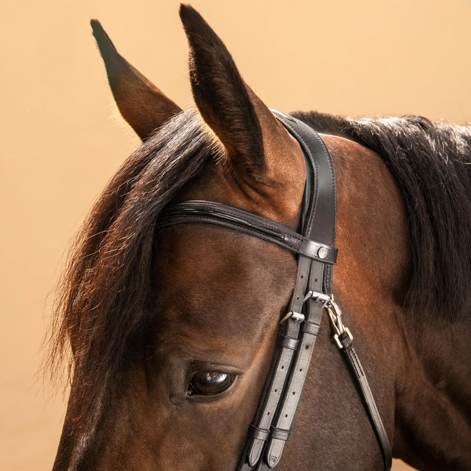 Horse Riding Glossy Leather Bridle With French Noseband For Horse & Pony 580 - Image 5