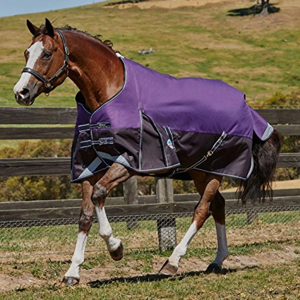 Weatherbeeta Comfitec Plus Lite Dynamic Standard Neck Turnout Rug (Purple/Black) - Image 2