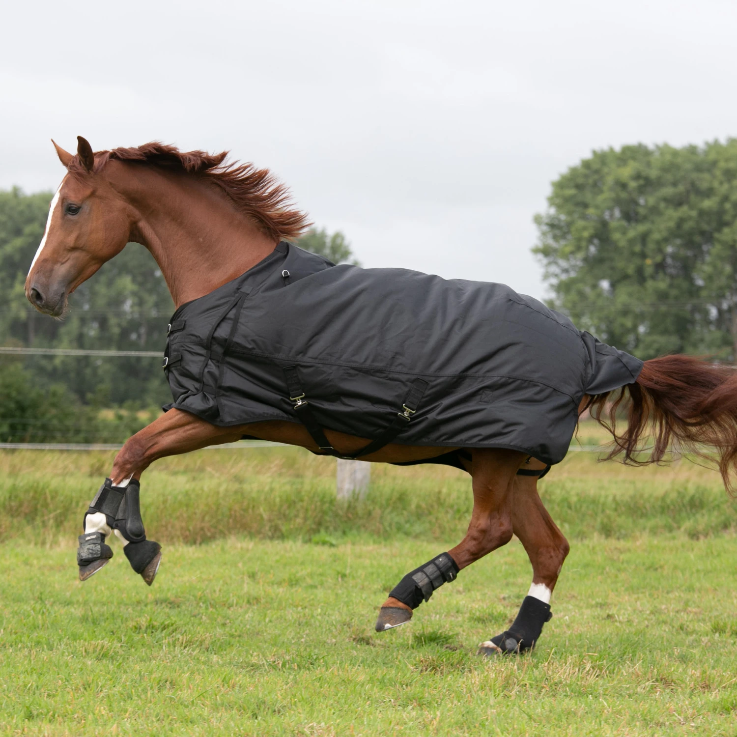 Waterproof Horse Rug 1000D Allweather 50 - Image 8