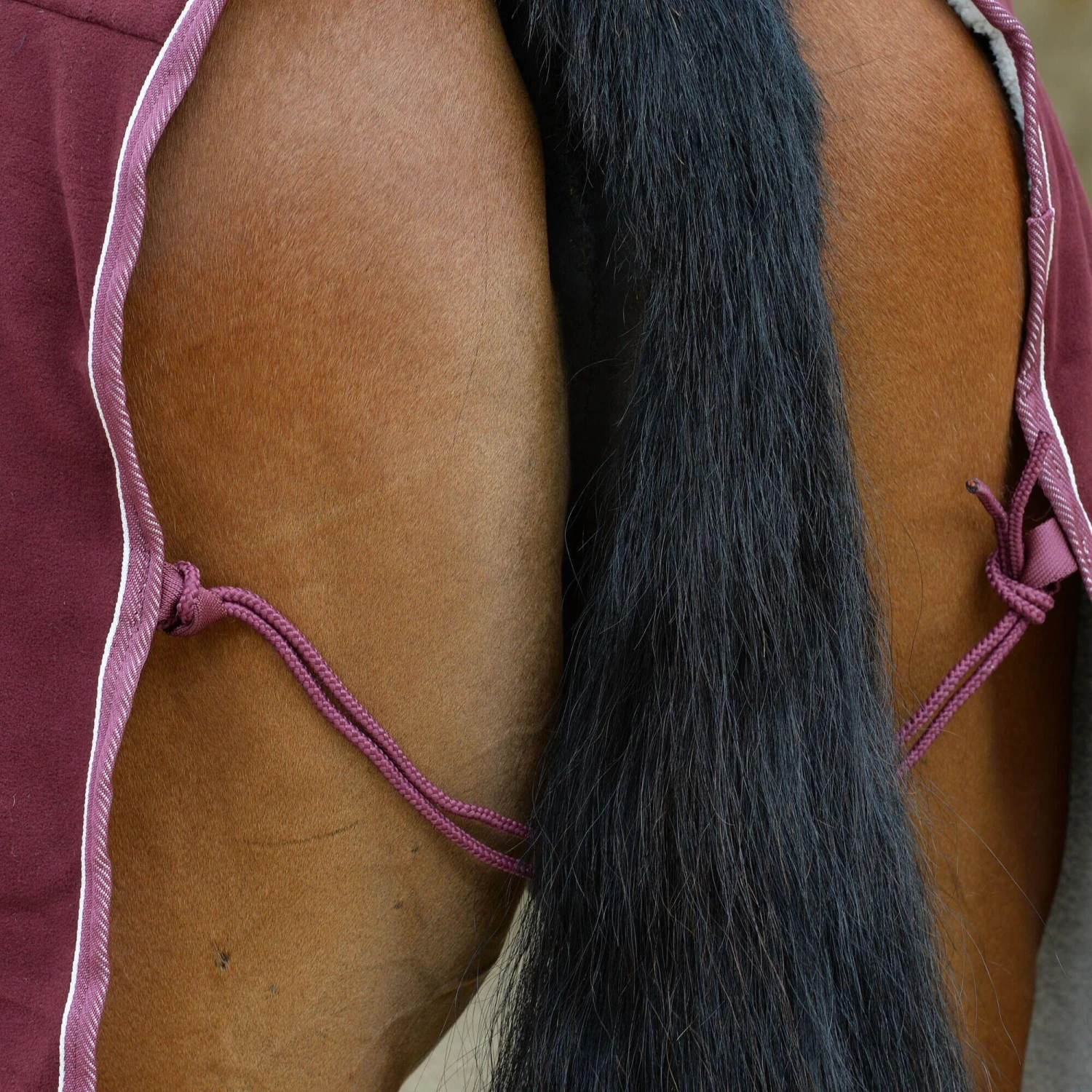 Weatherbeeta StandardNeck Sherpa Fleece Horse Cooler Rug (Maroon/White) - Image 3