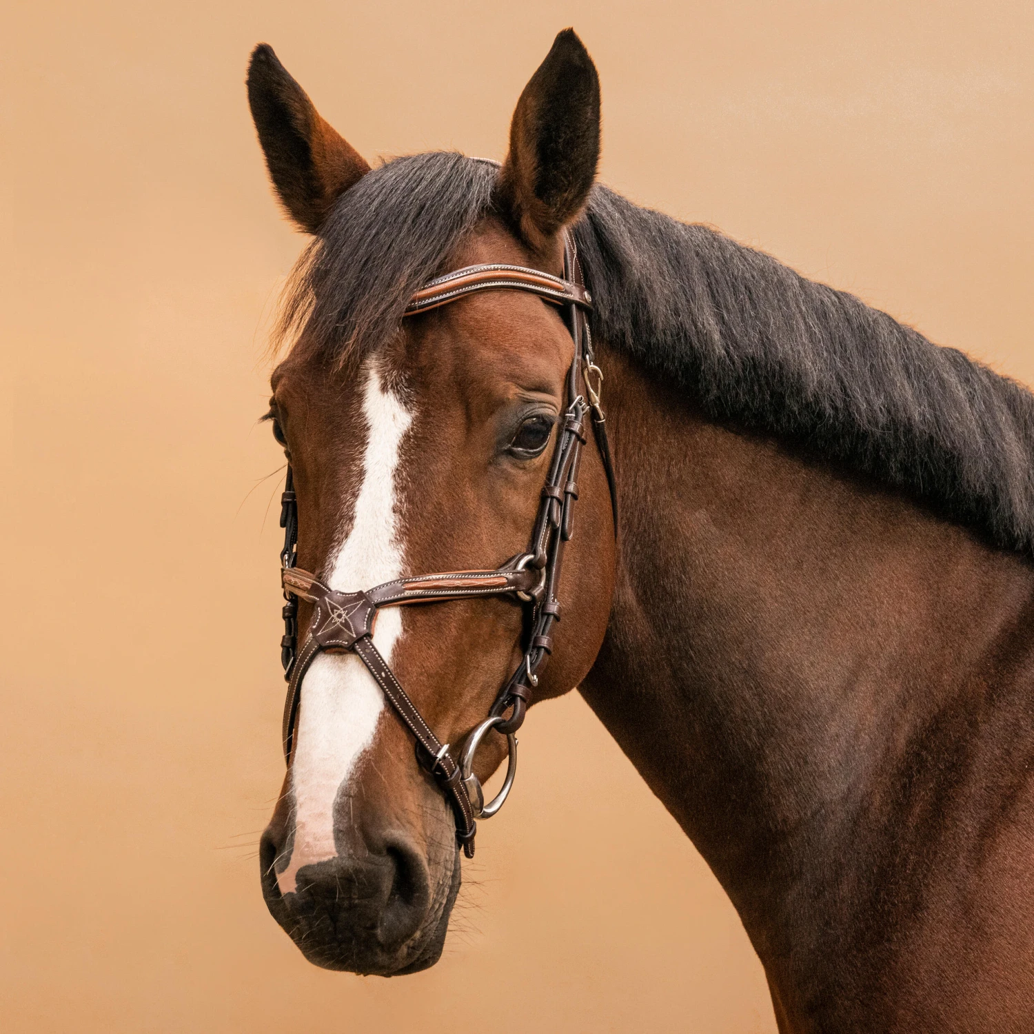 Horse Riding Crossed-Noseband Leather Bridle For Horse And Pony 580 - Image 10