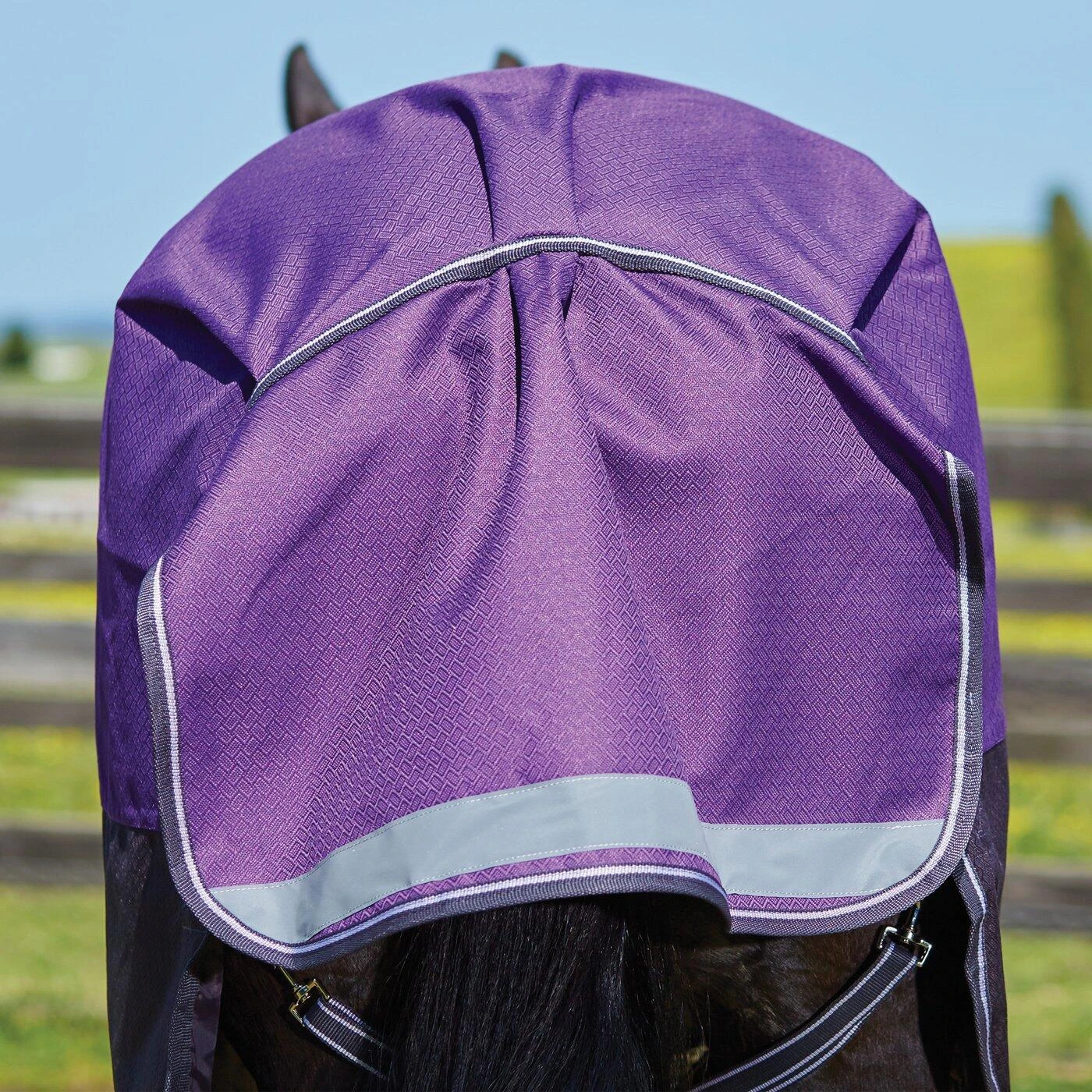 Weatherbeeta Comfitec Lite Plus Dynamic DetachANeck Turnout Rug (Purple/Black) - Image 2