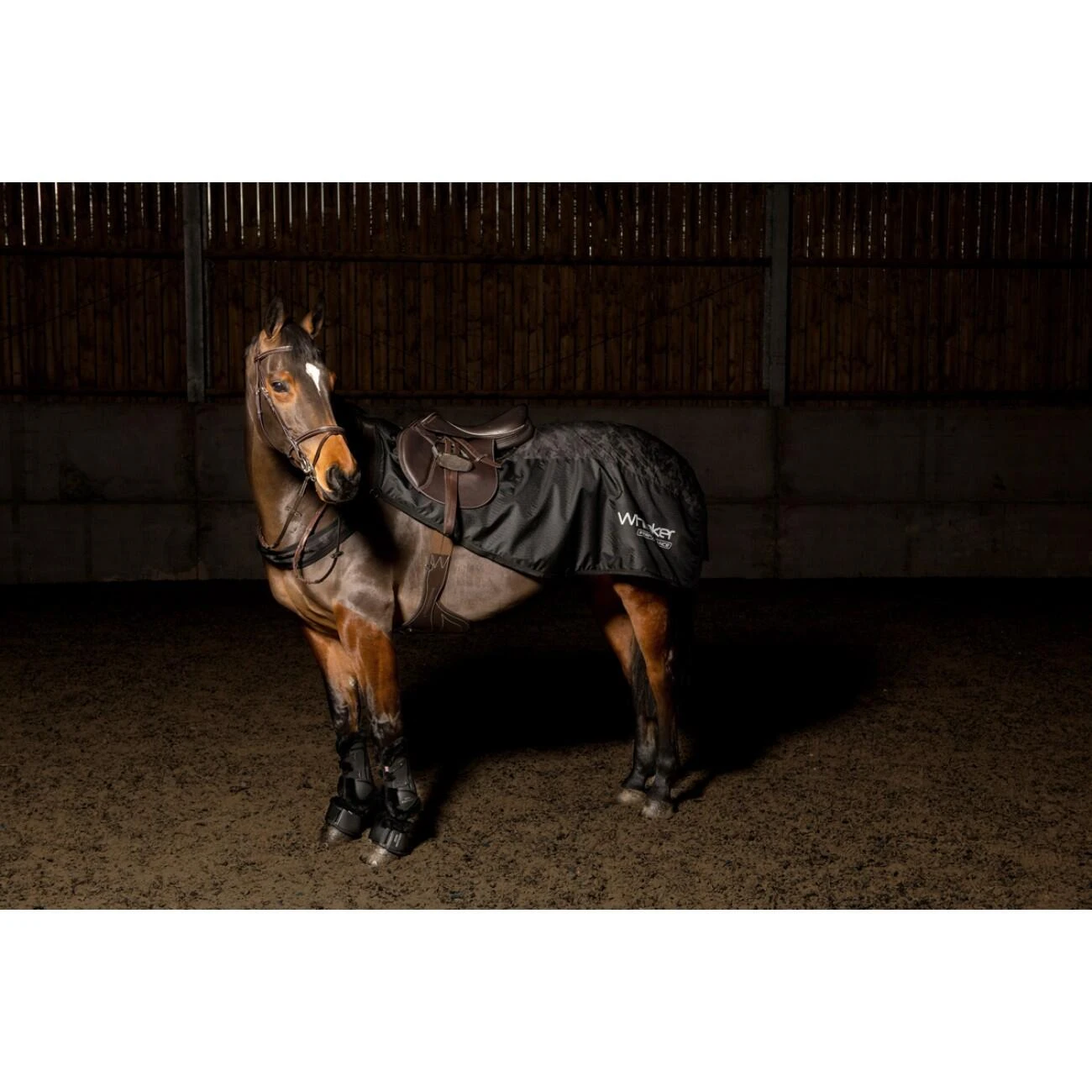 Sydney Reflective Exercise Sheet - Image 2