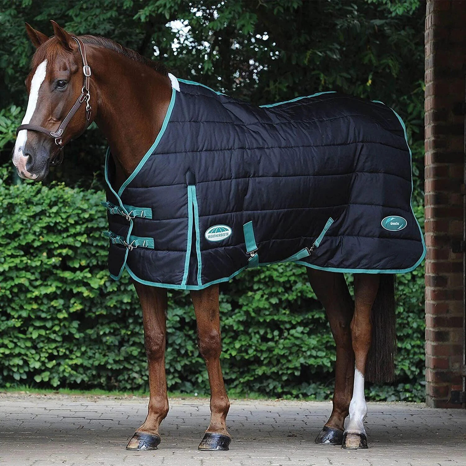 Weatherbeeta GreenTec StandardNeck Horse Stable Rug (Black/Bottle Green) - Image 2