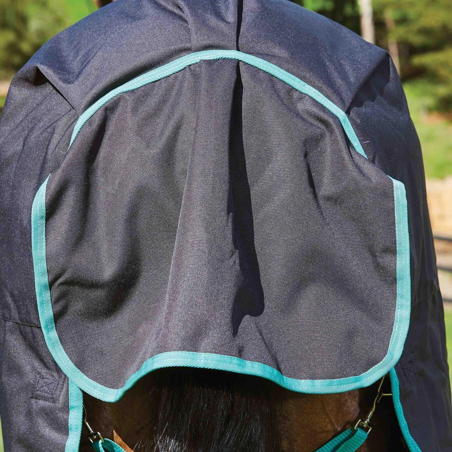 Weatherbeeta GreenTec Detachable Neck Heavyweight Horse Turnout Rug (Black/Bottle Green) - Image 2