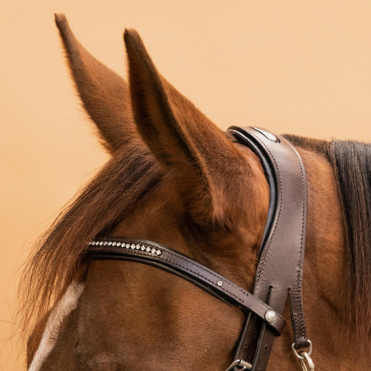 Horse Riding Leather Bridle With French Noseband 580 - Image 12