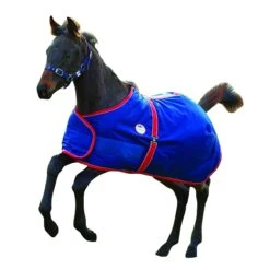 Weatherbeeta 1200d Foal Standard Neck Rug (Navy/Red/White)