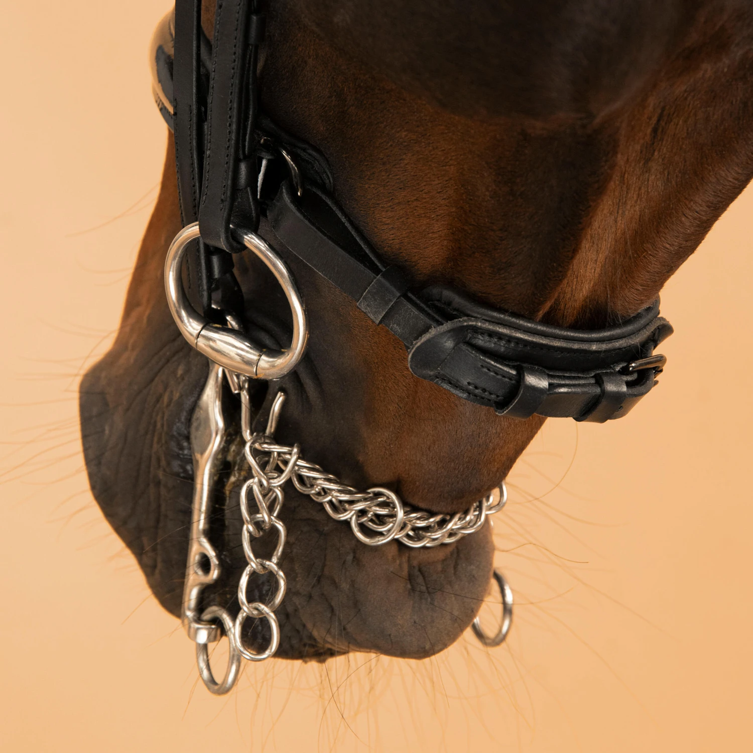 Horse & Pony Dressage Double Bridle 900 - Image 9