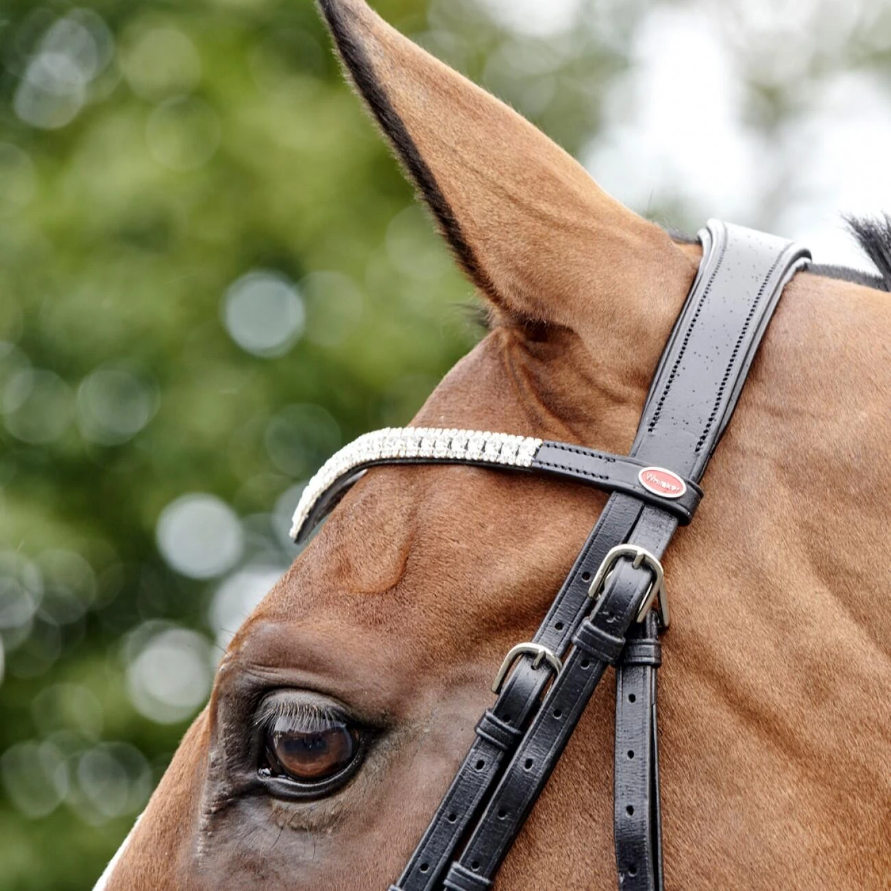 Lynton Snaffle Bridle With X2 Browbands - Image 2