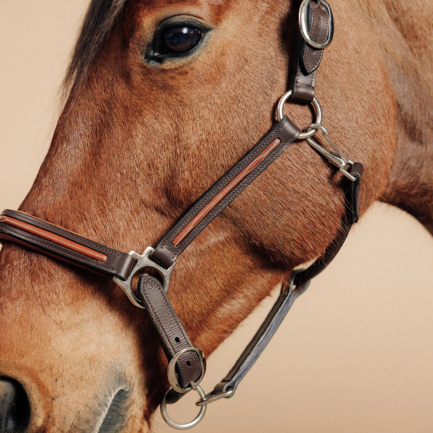 Horse Riding Leather Halter For Horse & Pony 900 - Image 2