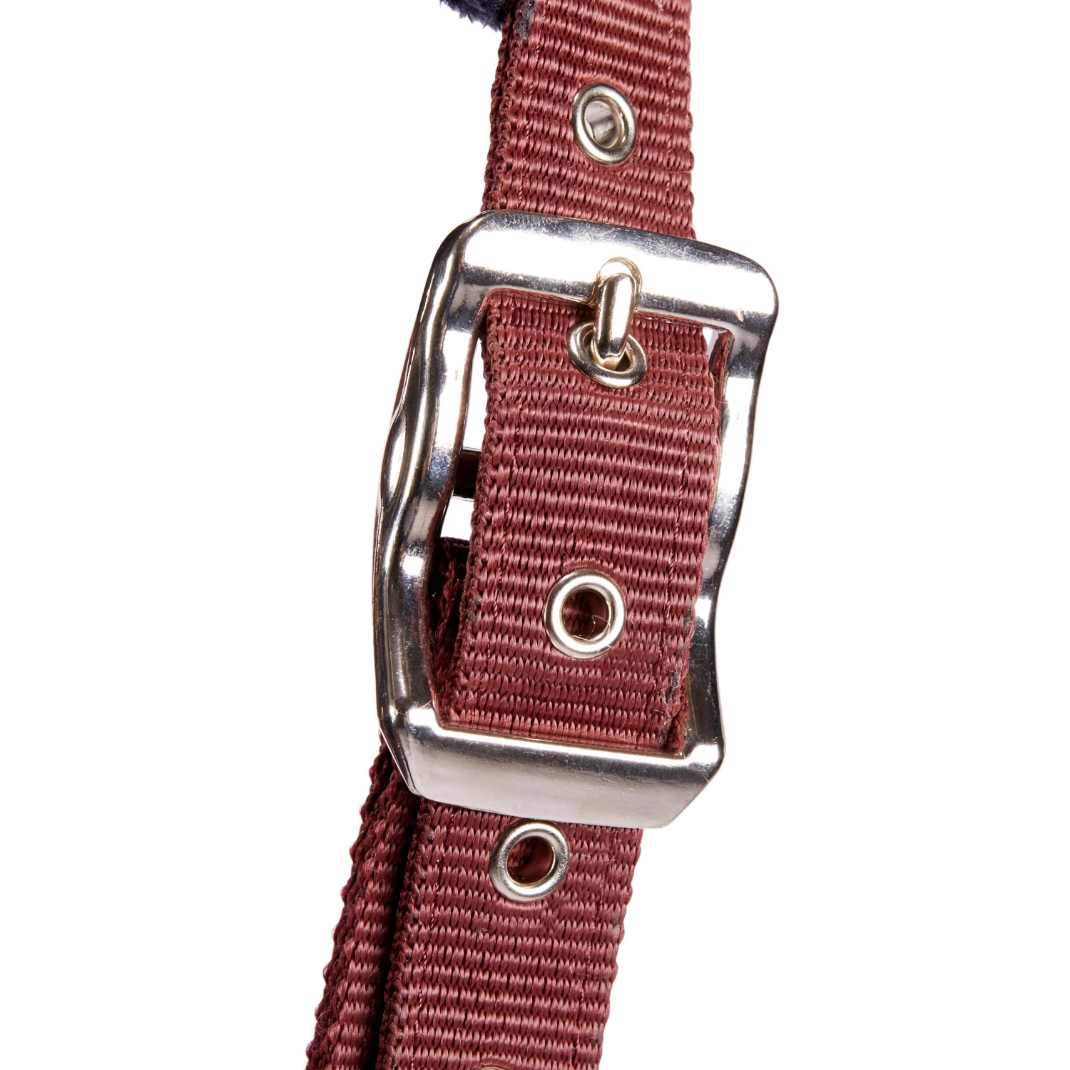 Winner Horse Riding Halter For Horse And Pony - Image 3