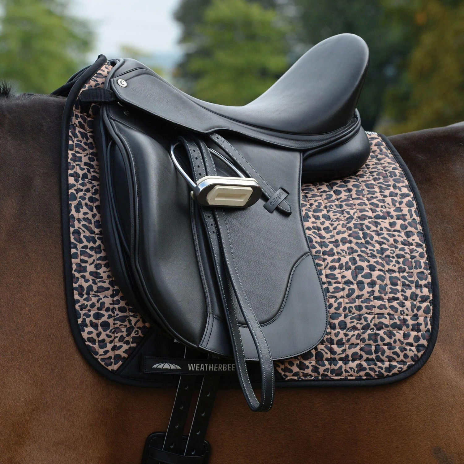 Weatherbeeta Prime Leopard Print Horse Dressage Saddlepad (Turquoise/Black) - Image 6